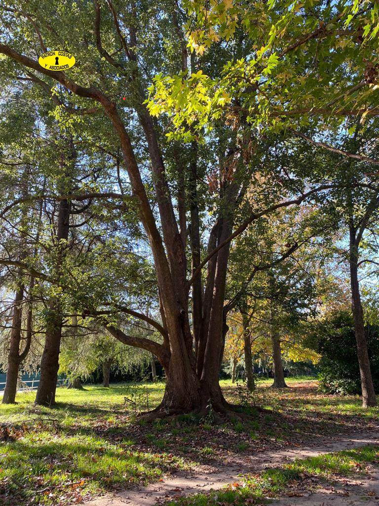 3540AA- CASA QUINTA EN FATIMA PILAR 12500 M2 CASAS 2 BOXES 12